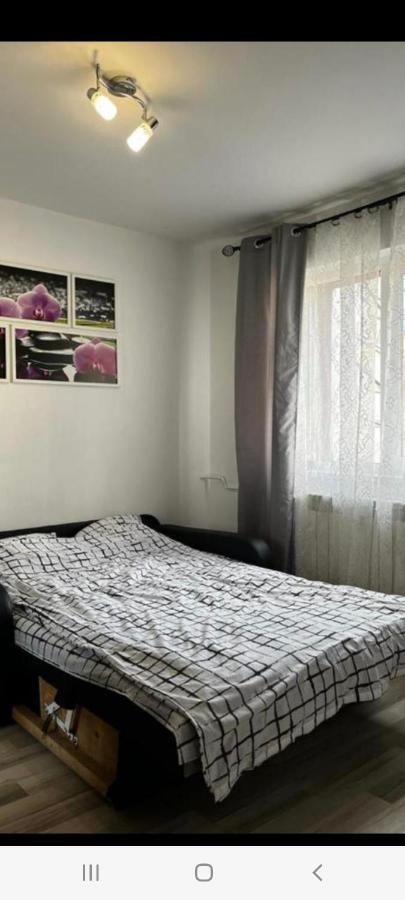 Zenapartment Брашов Екстериор снимка